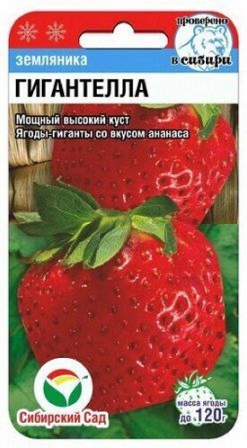 Семена Клубника Гигантелла (Сиб.сад) 10шт