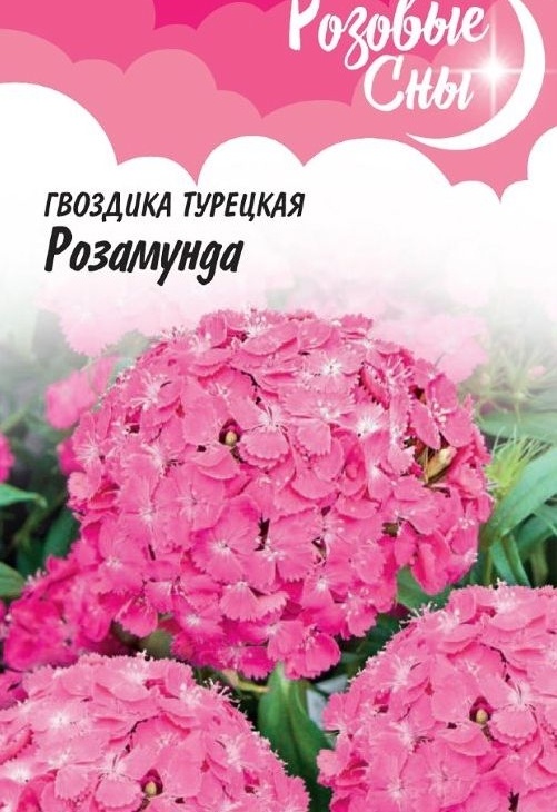 9aa96aac4d5638ed9a9cff8b84309dab