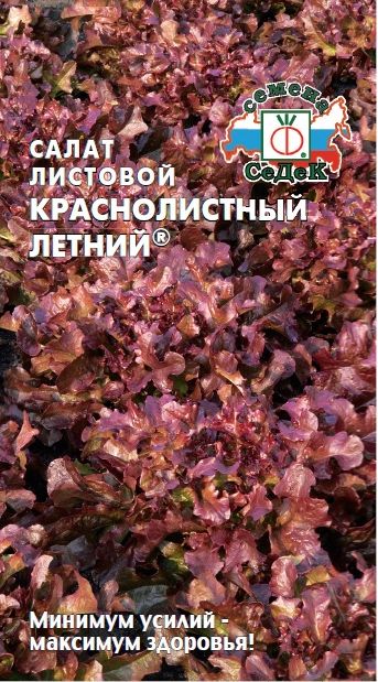 Семена Салат Краснолистный Летний (Седек) 0,5гр