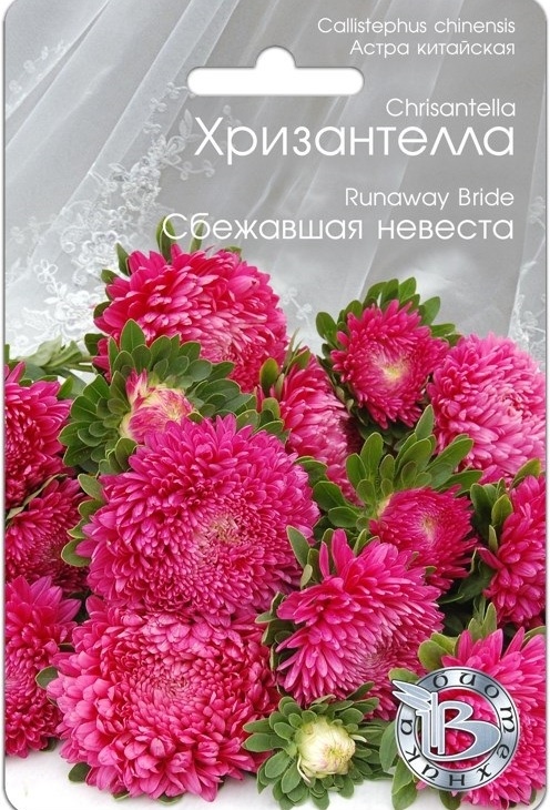 9cadeb55c315dde194cb9bcfaedcb553