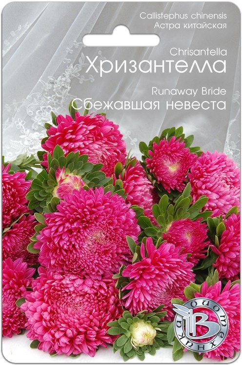 Семена Астра (Биотехника) Хризантелла Сбежавшая невеста 30шт
