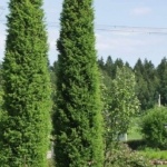 9ce4e8138484cfc026df26024ac83fd0