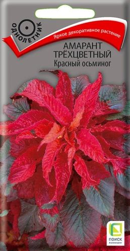Семена Амарант (Поиск) Красный осьминог