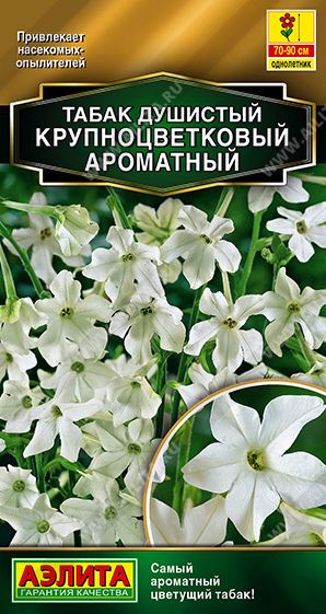 Семена Табак душистый (Аэлита) Ароматный 0,05г