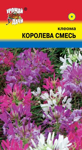 Семена Клеома (Урожай Удачи) Королева Смесь 0,3г