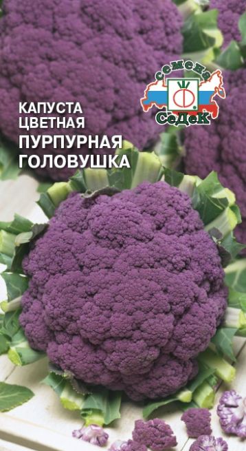 Семена Капуста цветная Пурпурная головушка (Седек) 0,5гр