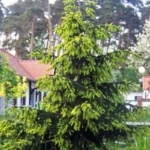 a0633e0e6f6c103268f6f445bcef3375