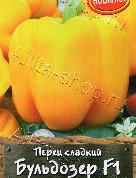 a095a27ce05bb729b908aecadd9f52b8