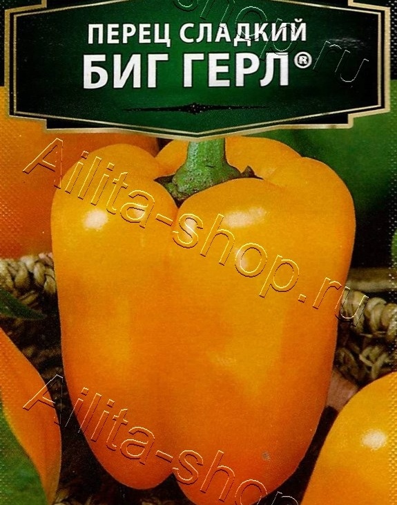 a14b75728e0411364389e232680c5481