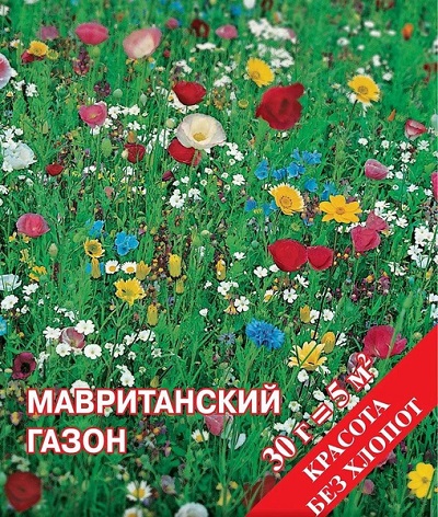Газон Мавританский (НК) 30г
