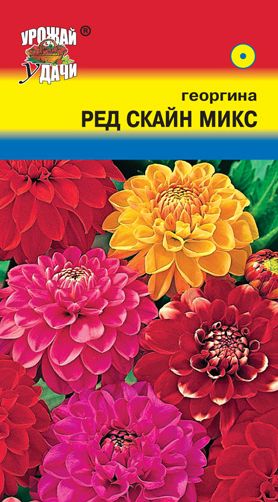 Семена Георгина (Урожай Удачи) Ред Скайн Микс 0,2гр.