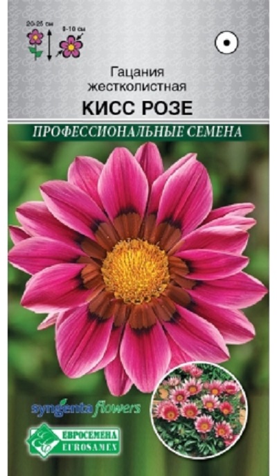 Семена Гацания (Eurosamen) Кисс Розе 5 шт