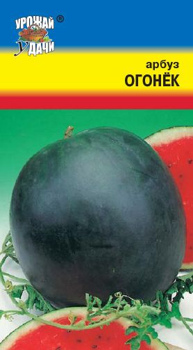 Семена Арбуз Огонек (Урожай Удачи) 1гр.