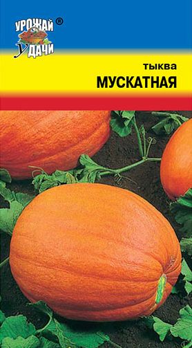 Семена Тыква Мускатная (Урожай Удачи) 1г
