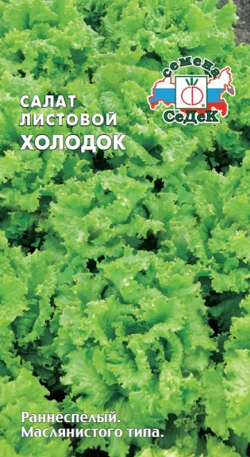 Семена Салат Холодок (Седек) 0,5гр