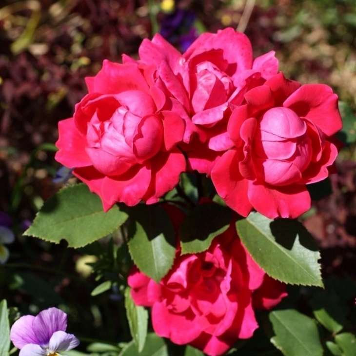 a315fb8a9411f16cb829ae43c85df9d1