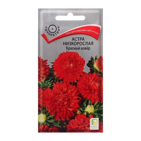 Семена Астра (Поиск) Красный ковер