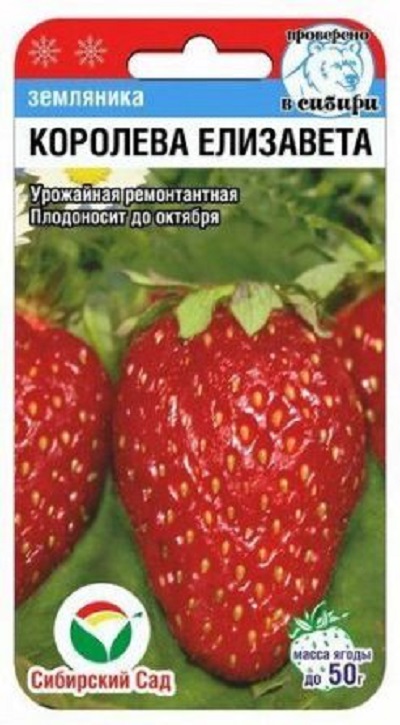 Семена Земляника Королева Елизавета (Сиб.сад) 10шт