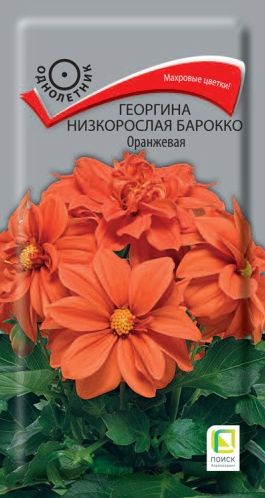 Семена Георгина (Поиск) Барокко Оранжевая 0,1гр