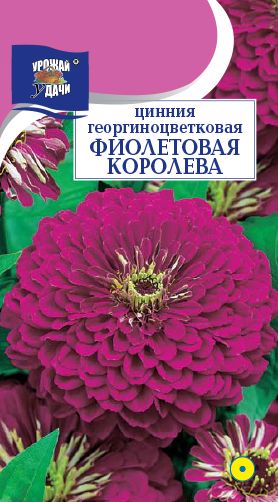 Семена Цинния (Урожай Удачи) Фиолетовая королева