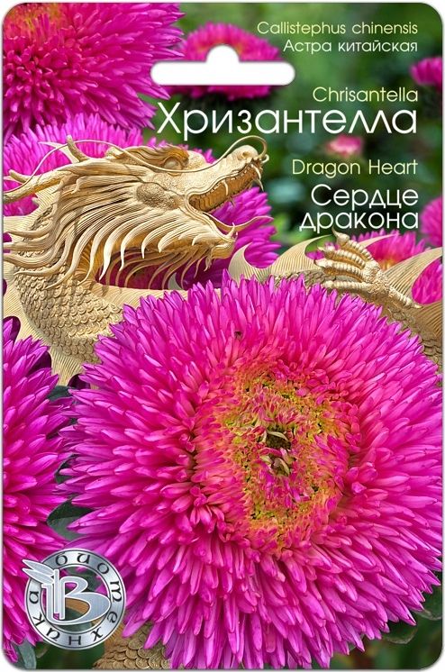 Семена Астра (Биотехника) Хризантелла Сердце дракона 30шт
