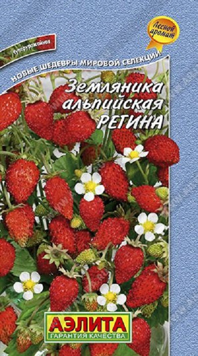 Семена Земляника Регина (Аэлита) 0,03г