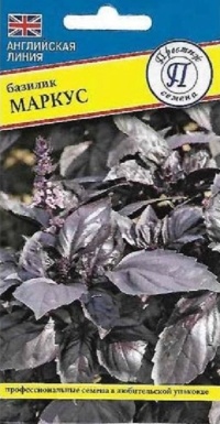 Семена Базилик Маркус  (Престиж) 0,5 гр.