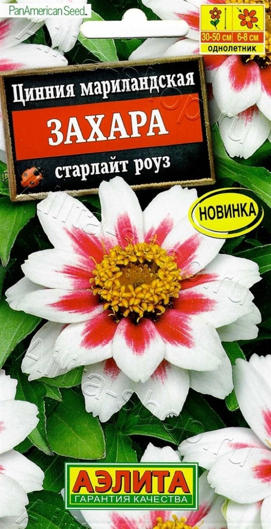 Семена Цинния (Аэлита) Захара старлайт роуз 5шт