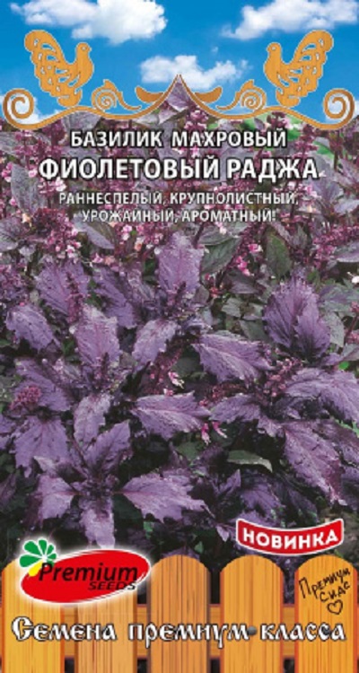 Семена Базилик Фиолетовый Раджа (П.Сидс) 0,2г