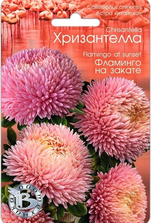 ab877f8096f100dfbf38bf02c4ebf1fc
