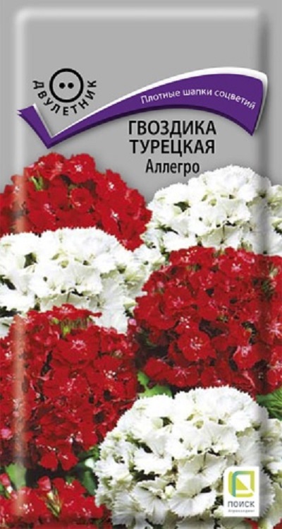 Семена Гвоздика (Поиск) Аллегро 0,3г