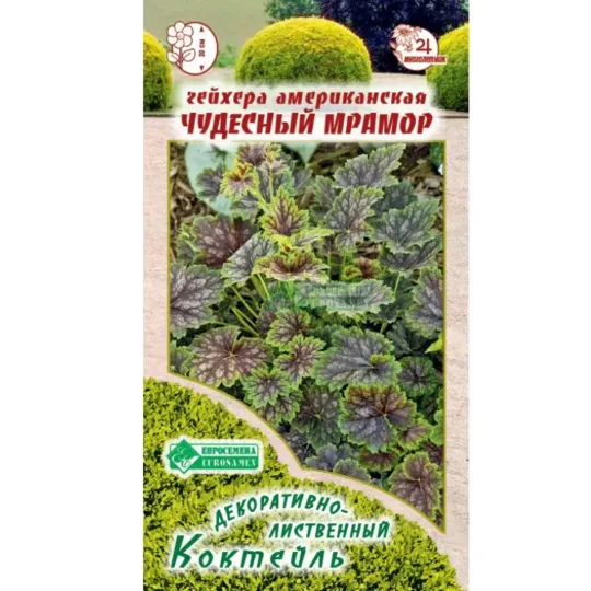 Семена Гейхера (Eurosamen) Чудесный мрамор 7шт