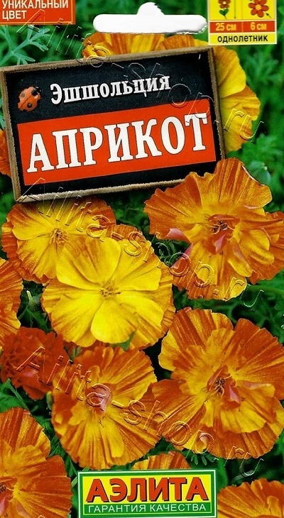 ae01a41018fdf5e963b97df5adb72300