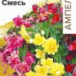 ae0ebee3b3cc5c139ad23d7ec061f032