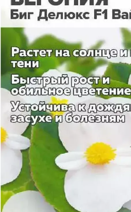 9f1d68ccdd6f666b36acf508ec1fef05