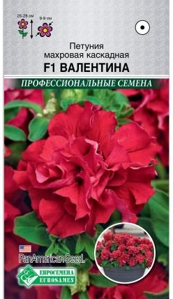Семена Петуния (Eurosamen) Валентина махр. каскад.