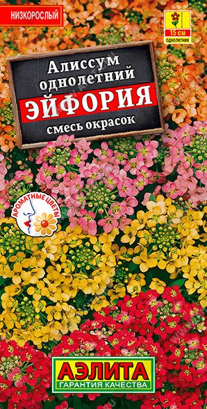 Семена Алиссум (Аэлита) Эйфория смесь 0,05г