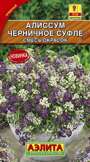 Семена Алиссум (Аэлита) Черничное суфле 0,05г
