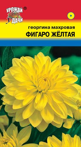 Семена Георгина (Урожай Удачи) Фигаро Желтая 0,05г