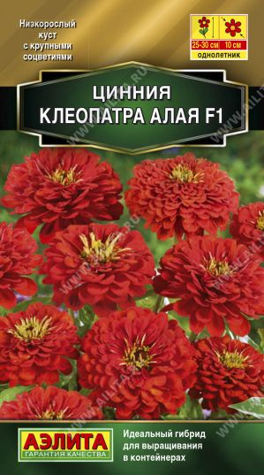 Семена Цинния (Аэлита) Клеопатра алая 12шт
