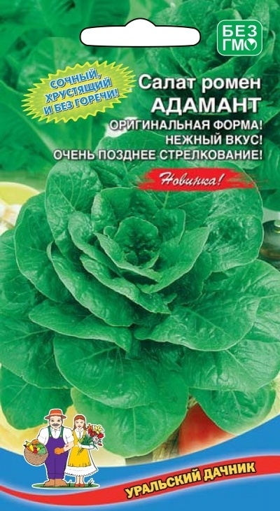b33d3cb33841c8aed738f7d2b04c68e3