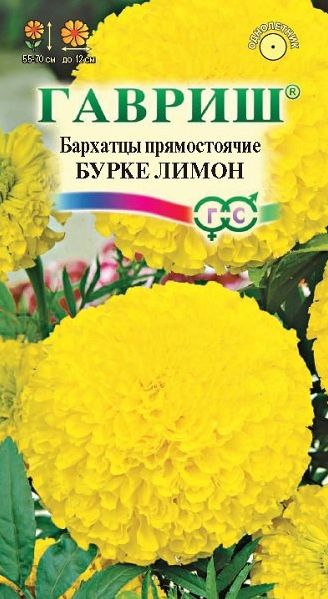 Семена Бархатцы (Гавриш) Бурке Лимон 0,3гр
