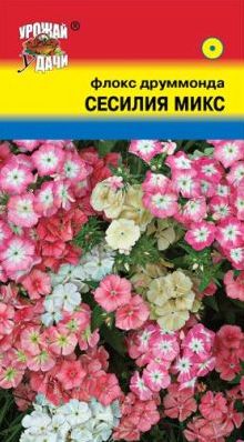 Семена Флокс (Урожай Удачи) Сесилия микс