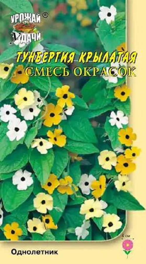 Семена Тунбергия (Урожай Удачи) Смесь окрасок 0,2г