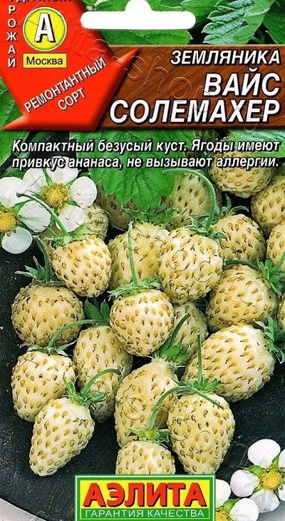b37ad81a0e0ecff6b22f6441124e7e0e