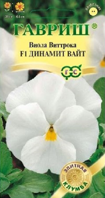 Семена Виола (Гавриш) Динамит Вайт 5шт