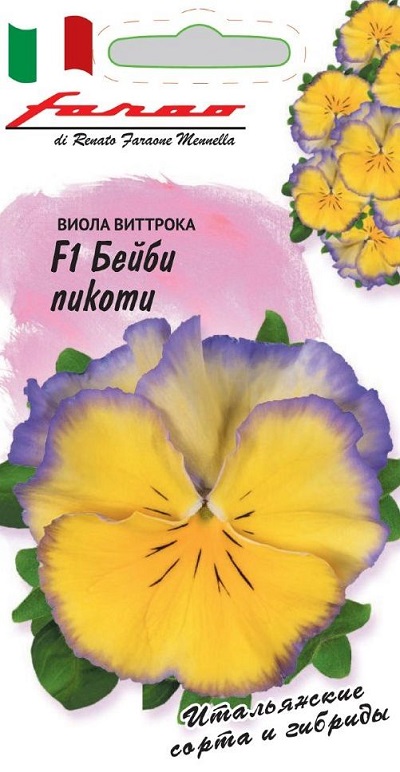 Семена Виола (Гавриш) Бейби пикоти