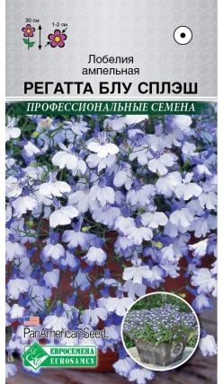 Семена Лобелия (Eurosamen) Регатта блу сплэш 10драже