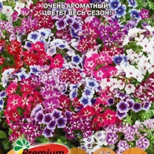 Семена Флокс Флокс (П.Сидс) В гостях у сказки 0,1г
