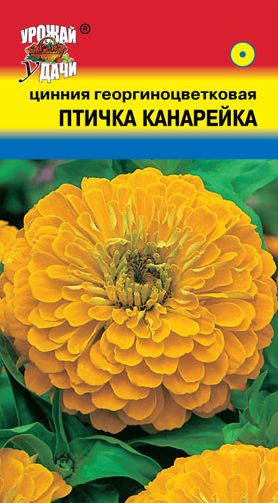 Семена Цинния (Урожай Удачи) Птичка Канарейка